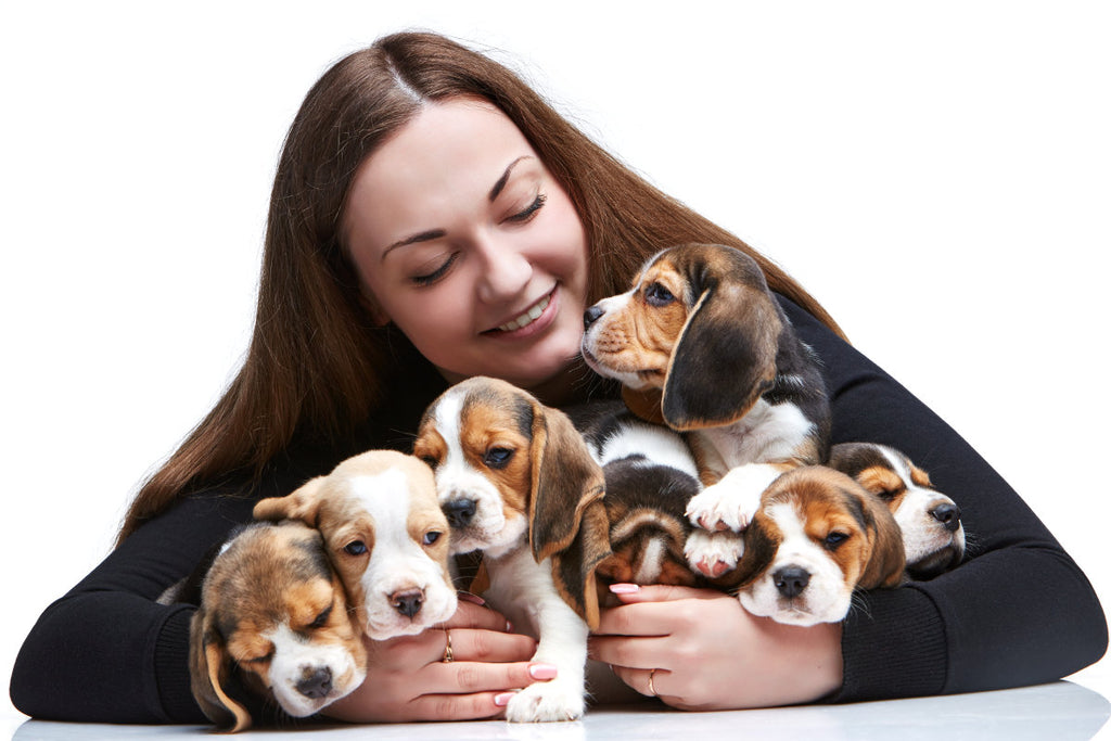Pet Lover