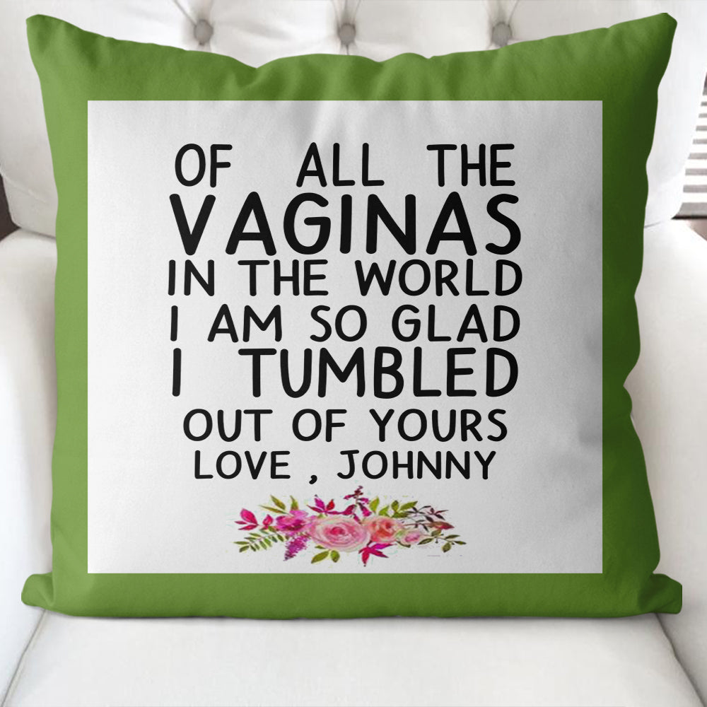 Funny Custom Name Pillow Case – Of All the Vaginas in The World I am So Glad I Tumbled Out of Yours